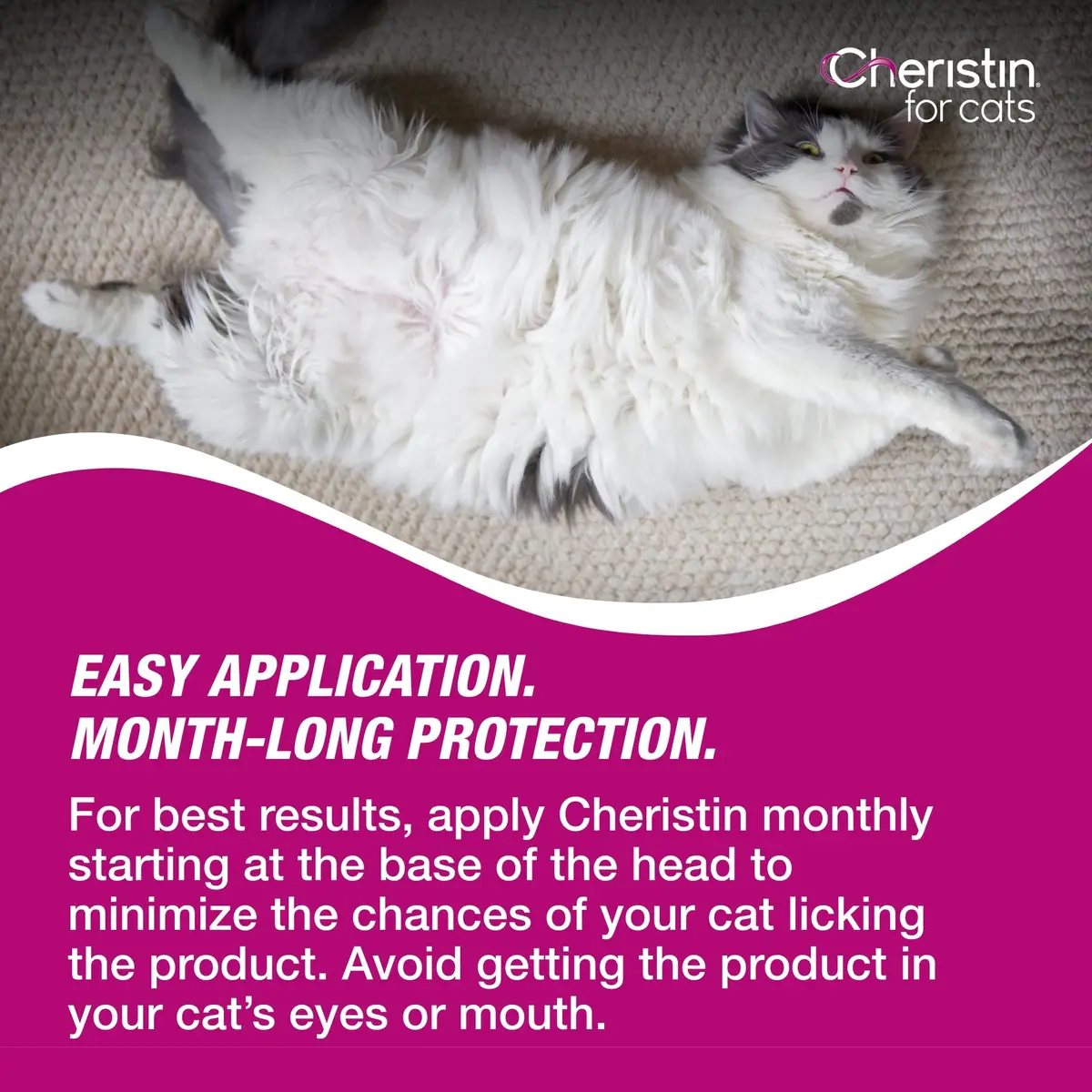 Cheristin Flea Treatment & Prevention for Cats 6 Doses | Fast-Acting Flea Relief, Approved for Kittens & Cats Over 1.8 lbs - view 8