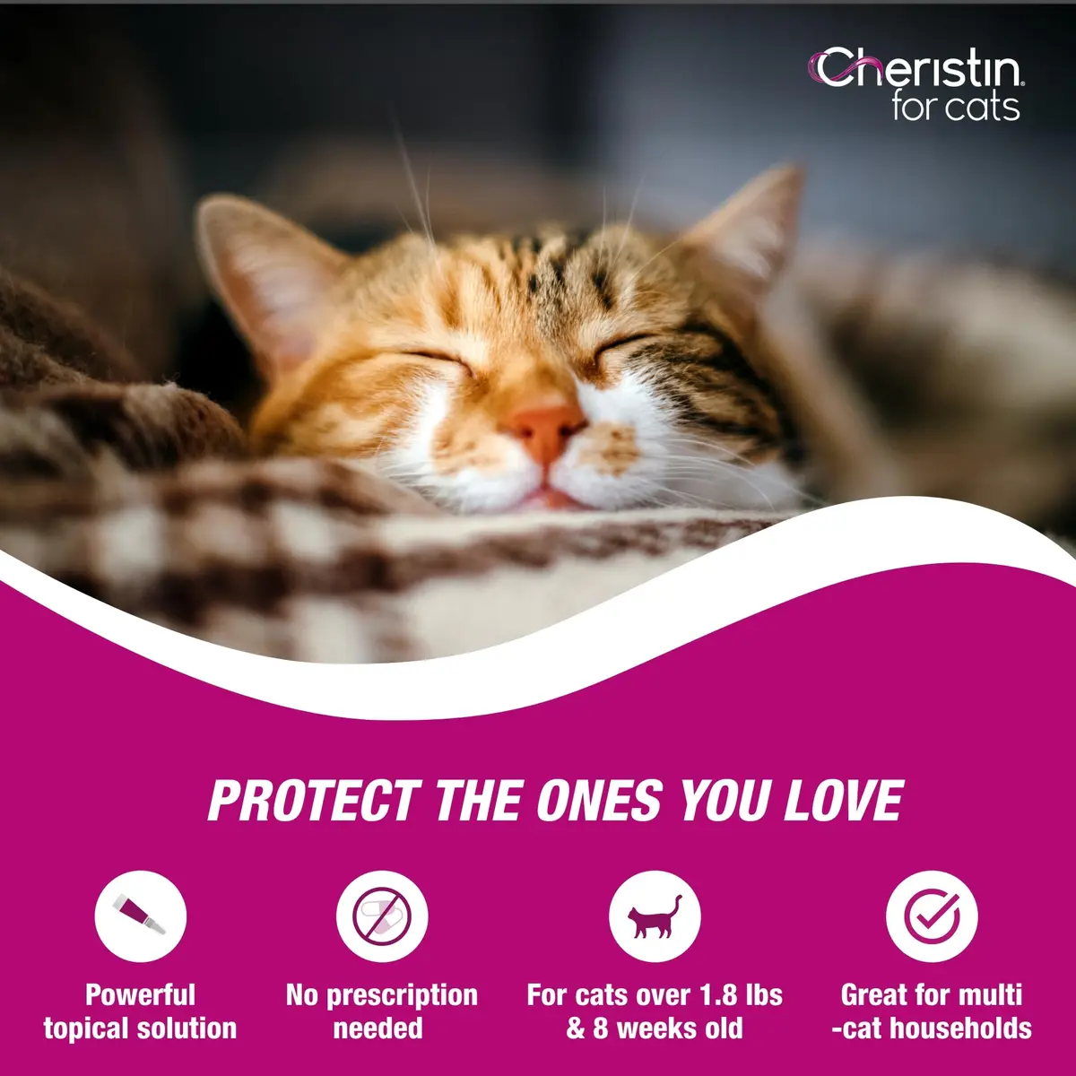 Cheristin Flea Treatment & Prevention for Cats 6 Doses | Fast-Acting Flea Relief, Approved for Kittens & Cats Over 1.8 lbs - view 4