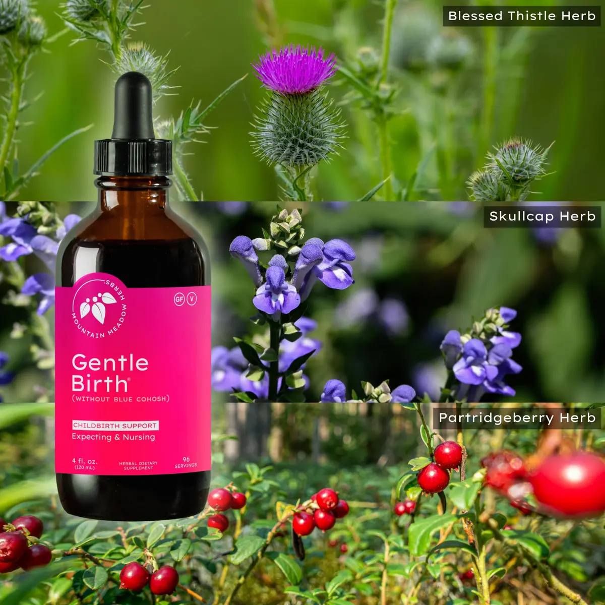 Mountain Meadow Herbs Gentle Birth Prep, Without Blue Cohosh, 4oz | Supports Labor & Recovery - view 5