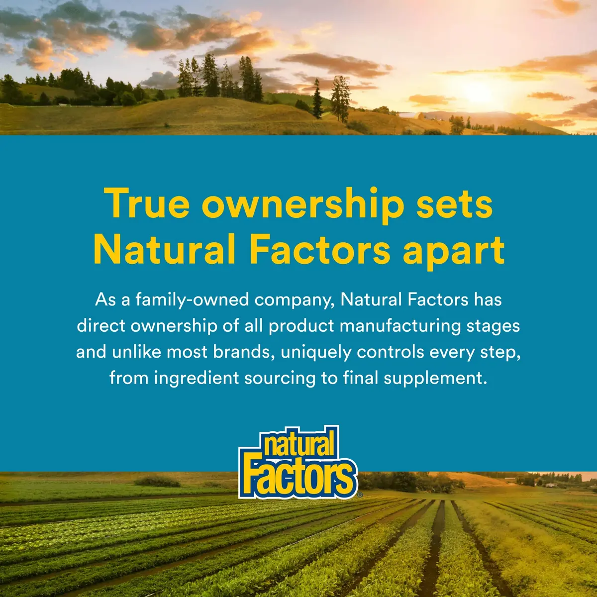 Natural Factors Ultimate Probiotic Senior's 35 Billion CFU | Supports Digestive & Immune Health in Aging Adults - view 6