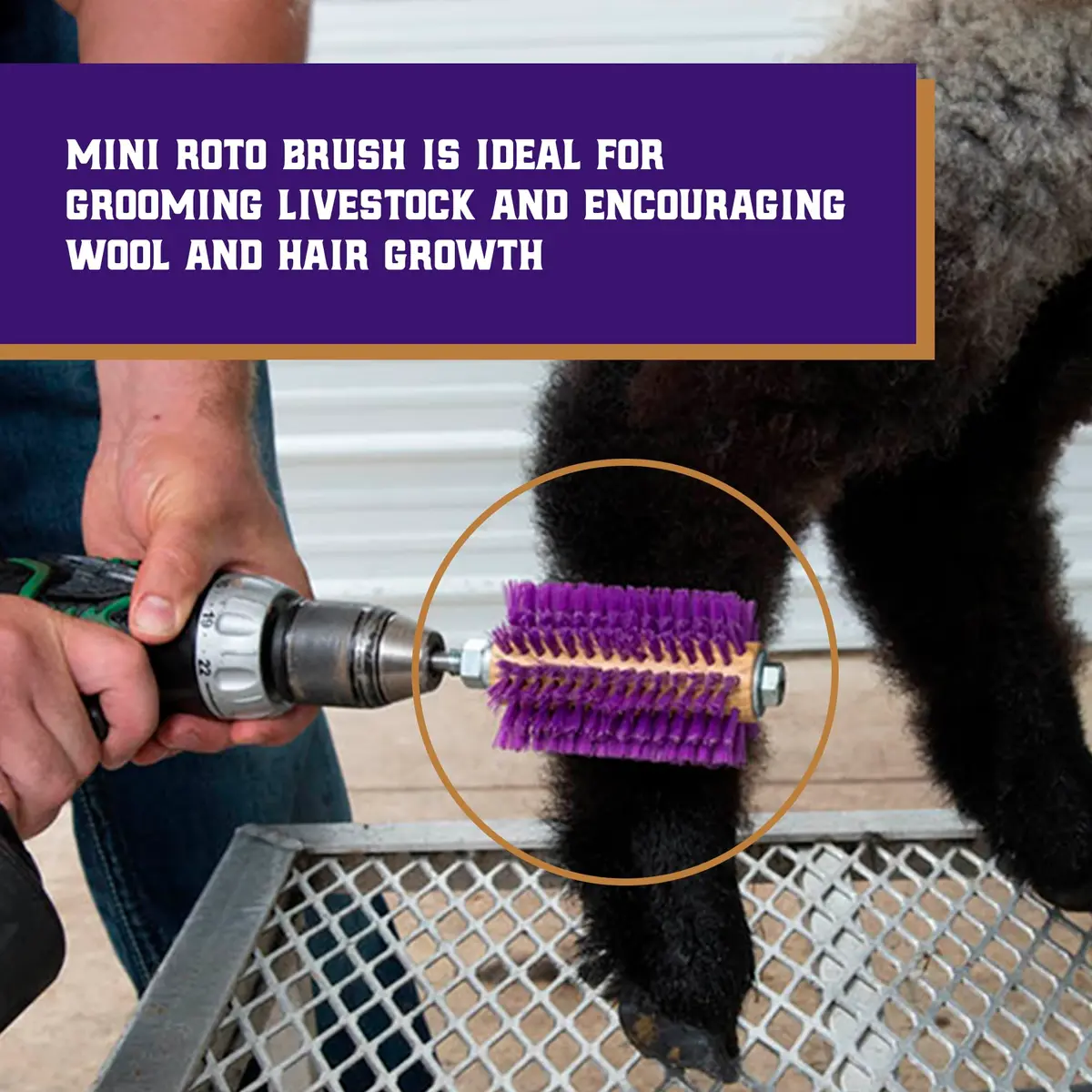 Weaver Livestock Roto Brush Purple, 5-3/8" Long | Livestock Hair & Wool Grooming Tool - view 2
