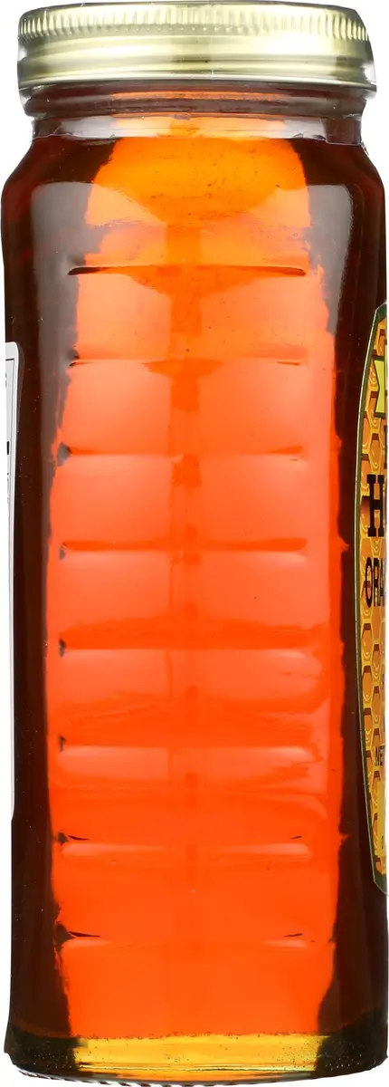 Gunter's Orange Blossom Honey 16 Oz | Thick, Natural & Rich Honey from USA - view 5