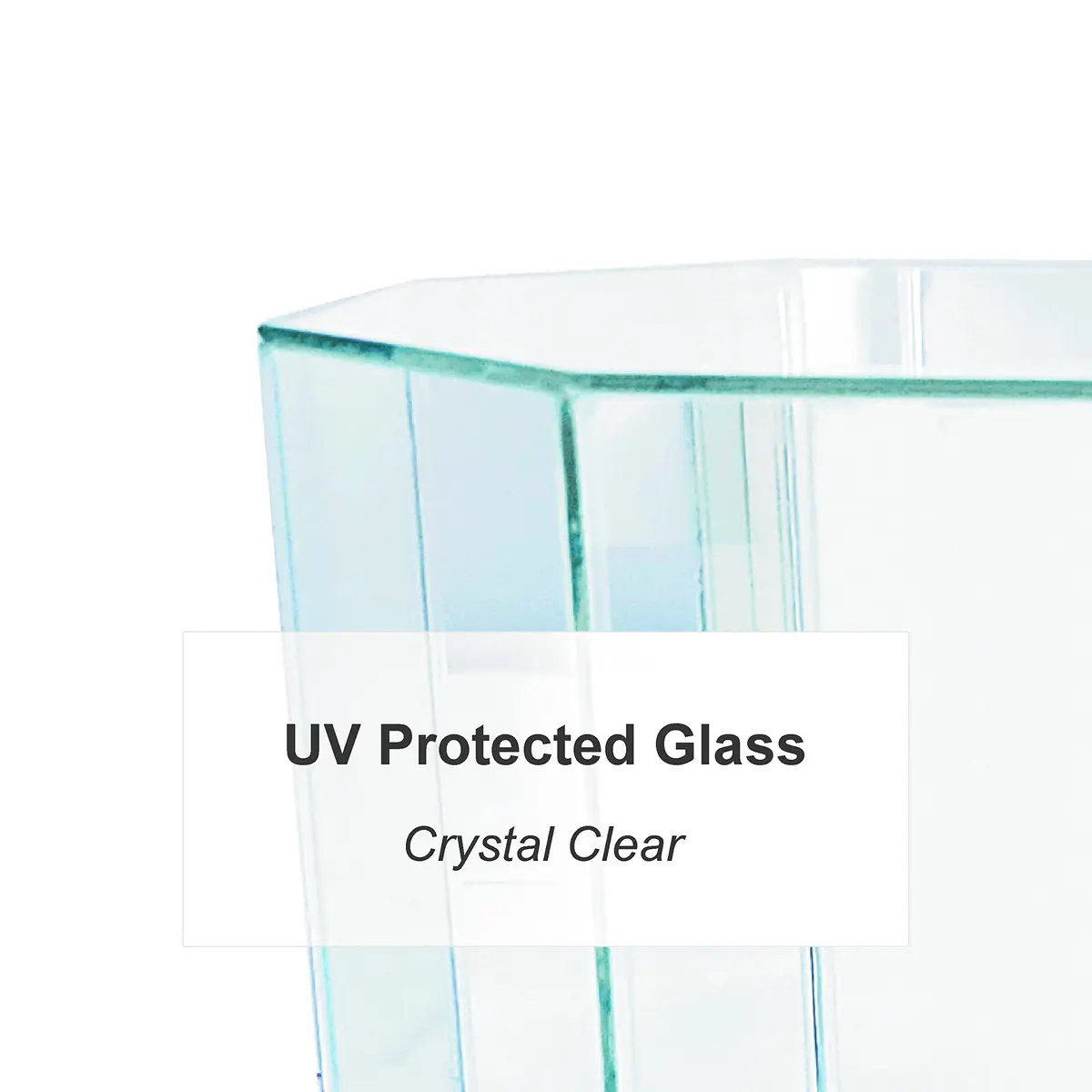 Perfect Cases MLS Octagon Soccer Ball Glass Display Case, Black | UV Protected Glass & Wood Molding - view 3