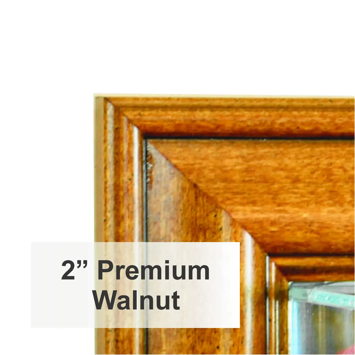 Perfect Cases NASCAR Wall Mounted Display Case Walnut | UV Protected Glass & Wood Molding - view 2