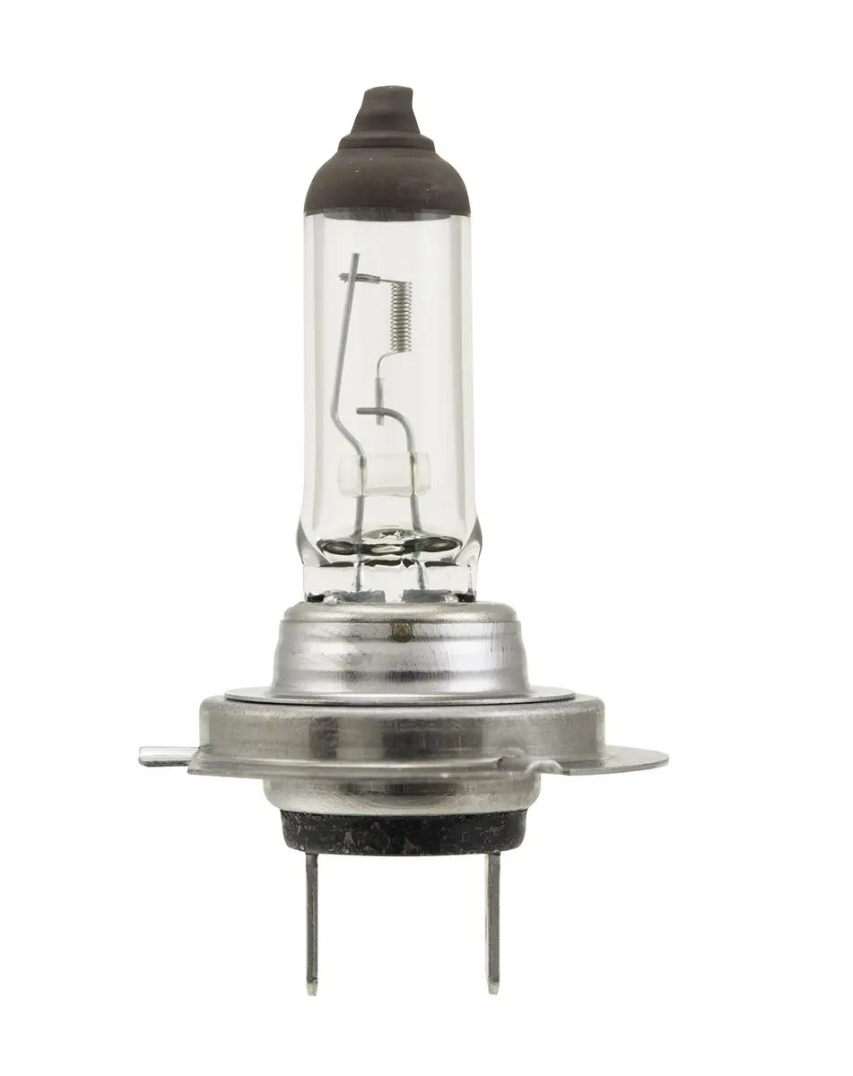 Hella H7 70W High Wattage Halogen Bulb, 12V, 3.7cm (1.46in) x 3.7cm (1.46in) x 6.6cm (2.6in) | Brighter Light for Demanding Use - main product image