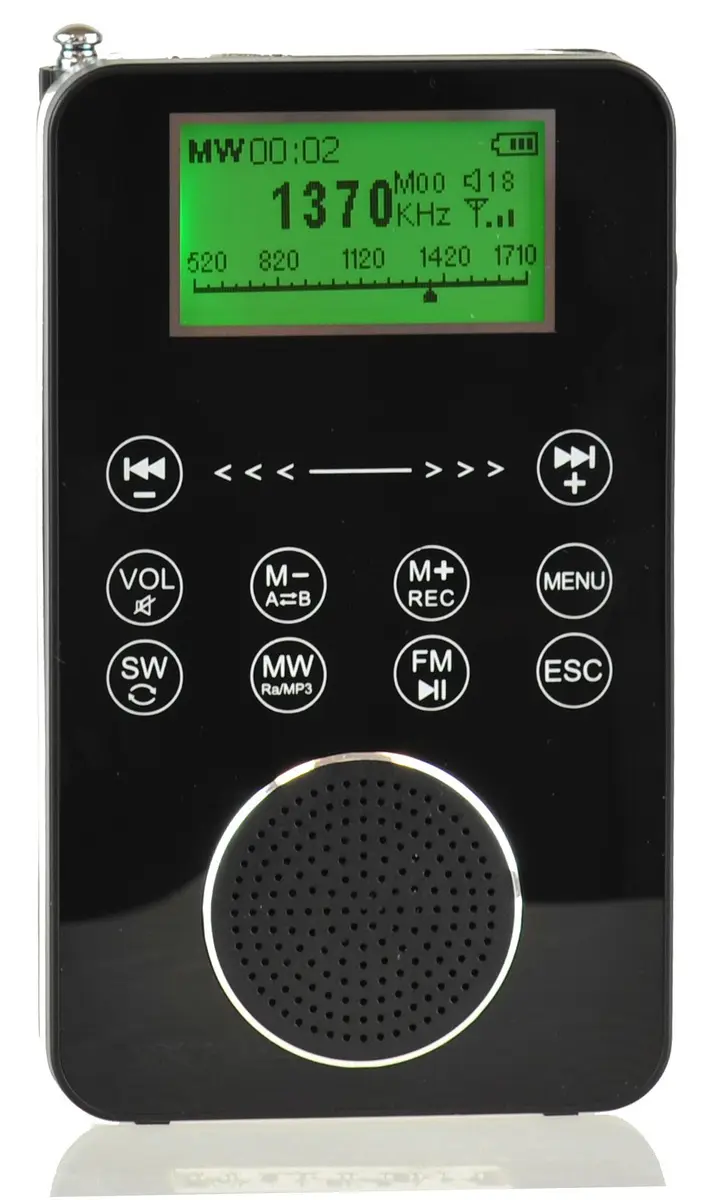 DEGEN DE1131 4-in-1 Touch Screen Portable Radio MP3 Player 4GB | Compact Pocket Radio with FM/AM/SW & Voice Recorder - main product image