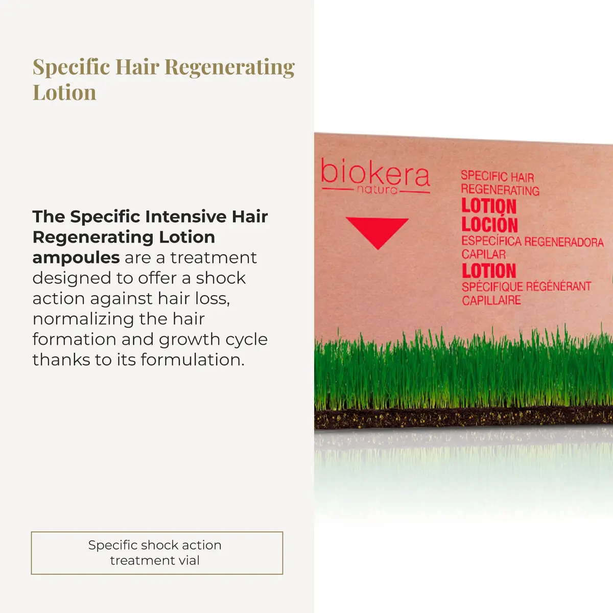 SALERM Intensive Scalp Serum 6 x 10 ml | Fortifies & Nourishes Hair for Women & Men - view 2