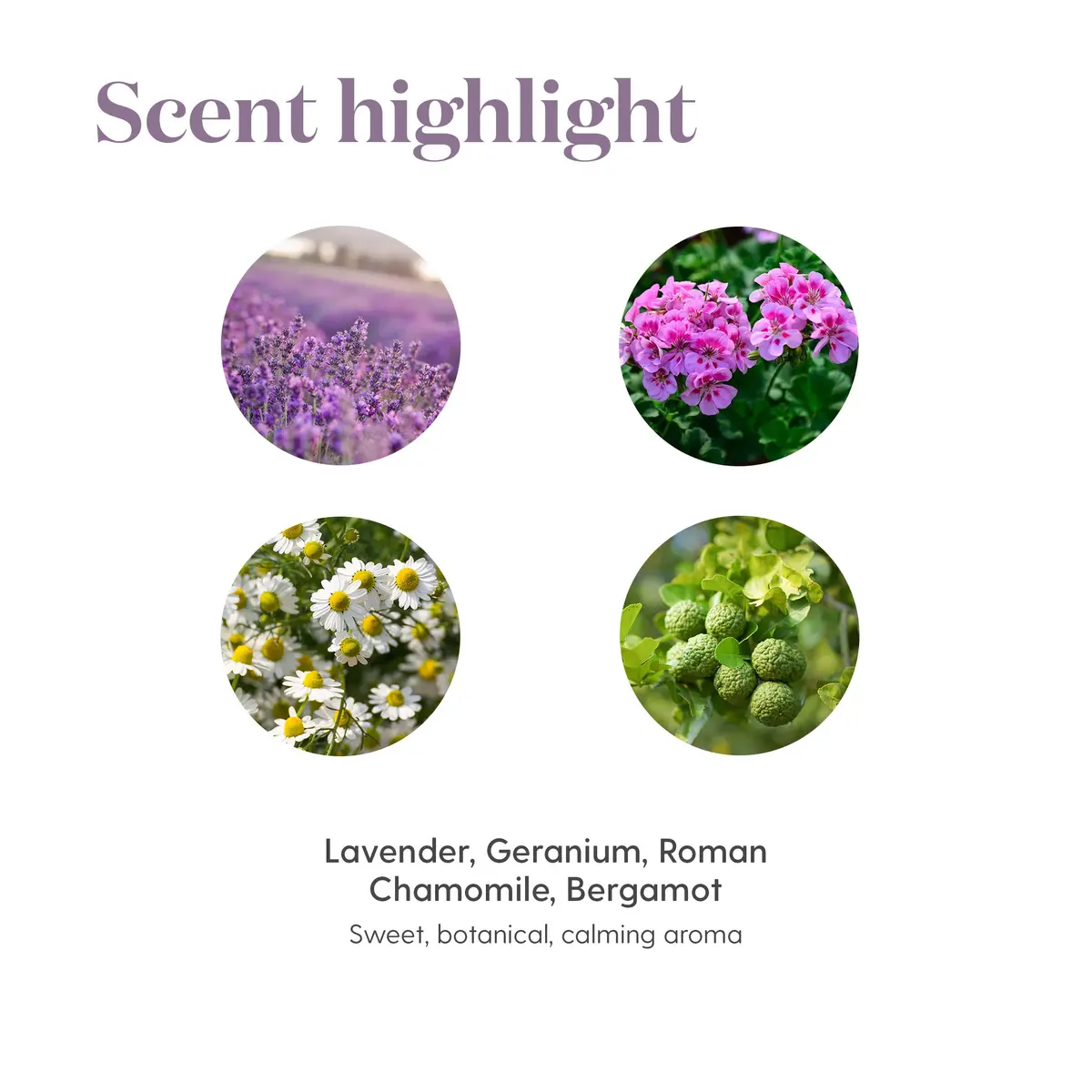 Young Living SleepyIze Essential Oil 5ml | Calming, Relaxing Aromatherapy Diffuser Oil - view 5