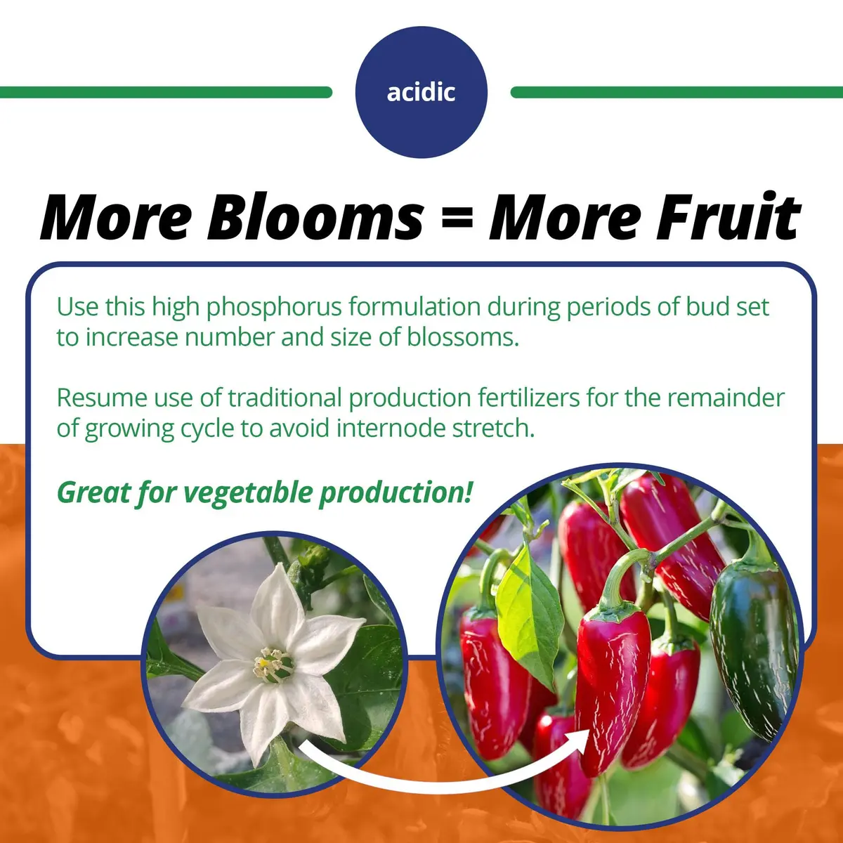 Jack's Classic 10-30-20 Blossom Booster Water-Soluble Fertilizer 1.5lb | Promotes Bright Flowers & Healthy Growth - view 4