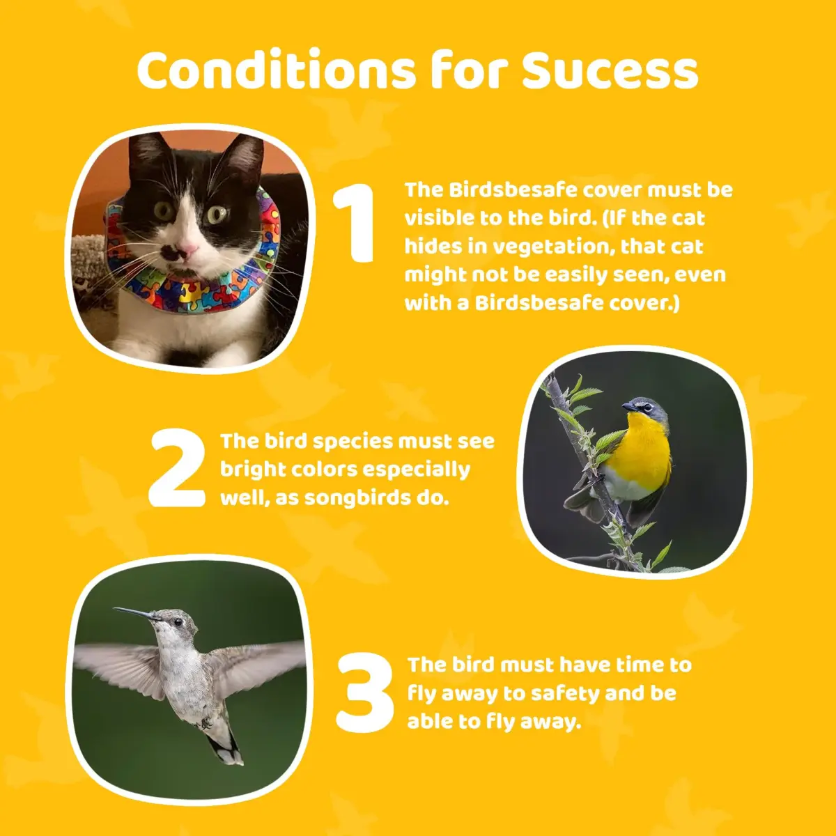 Birdsbesafe Cat Collar Cover & Breakaway Collar Set (3 Covers + 1 Collar) | Helps Birds See Cats - view 9
