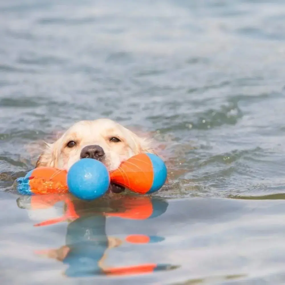 Chuckit! Tri-Bumper Fetch & Tug Dog Toy Medium | Floats & Tumbles for Exciting Fetch - view 5