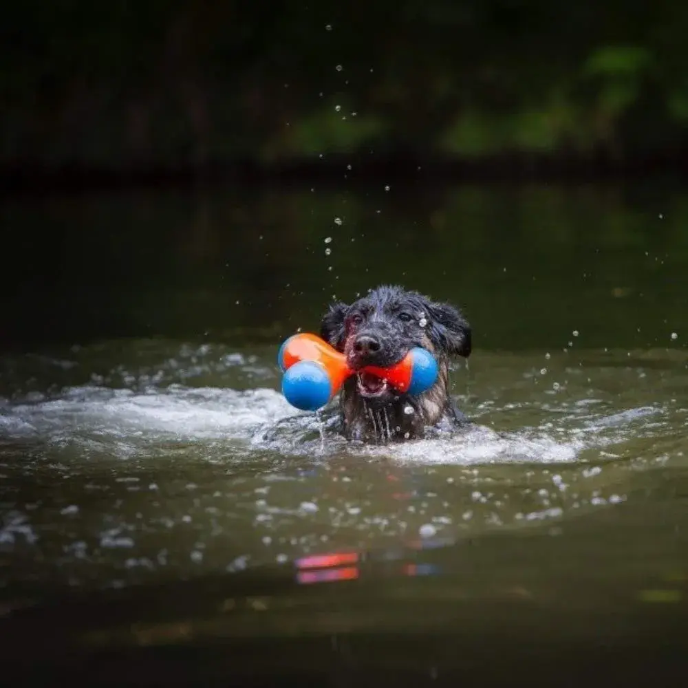 Chuckit! Tri-Bumper Fetch & Tug Dog Toy Medium | Floats & Tumbles for Exciting Fetch - view 6