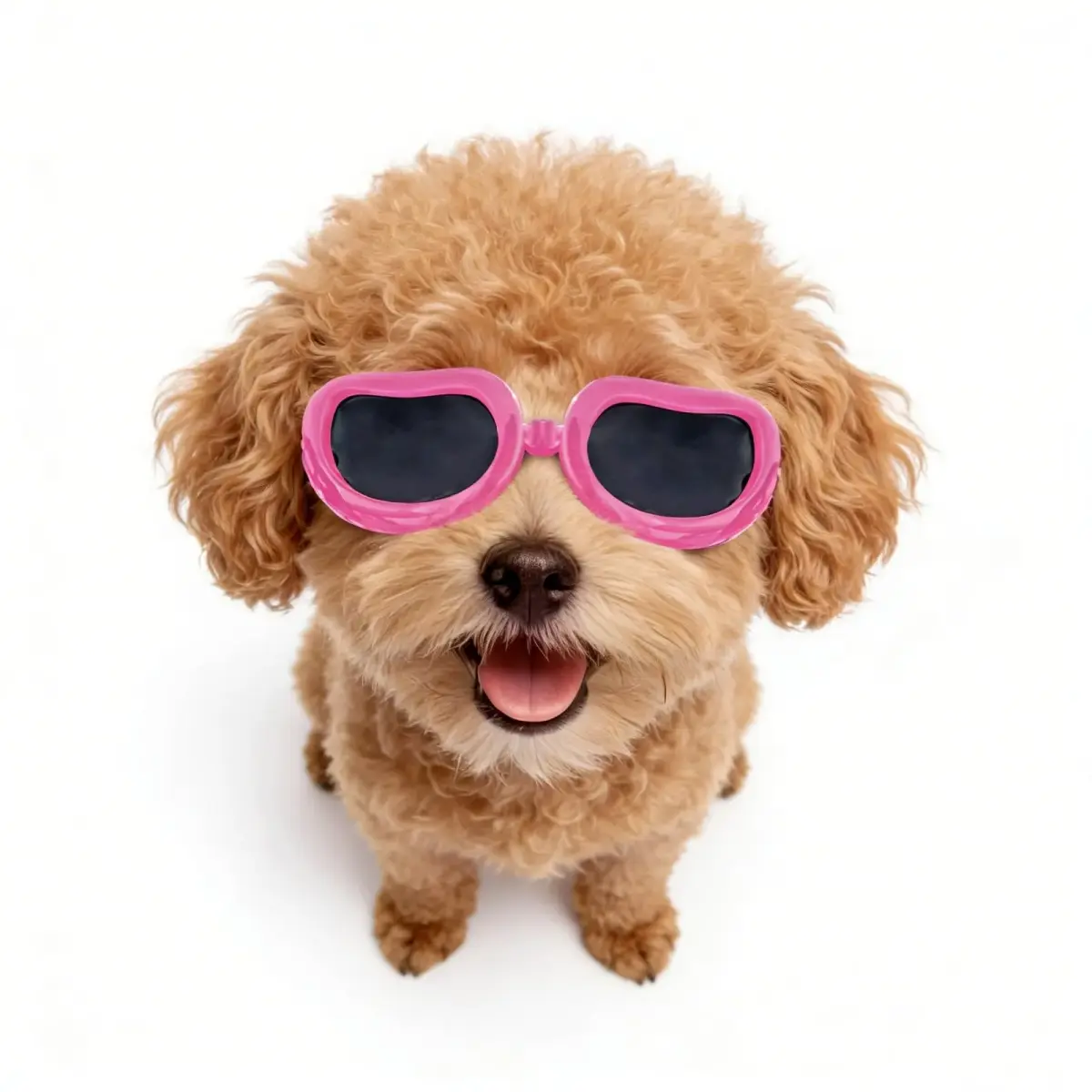 Enjoying Classic Pink Small Breed Dog Goggles - UV Protection, Windproof & Adjustable - main product image