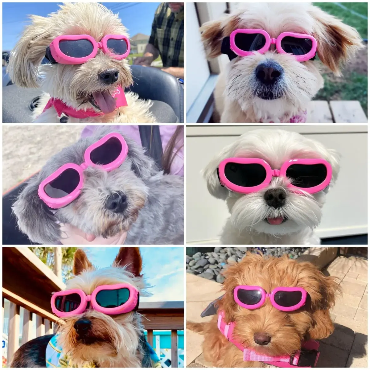 Enjoying Classic Pink Small Breed Dog Goggles - UV Protection, Windproof & Adjustable - view 2