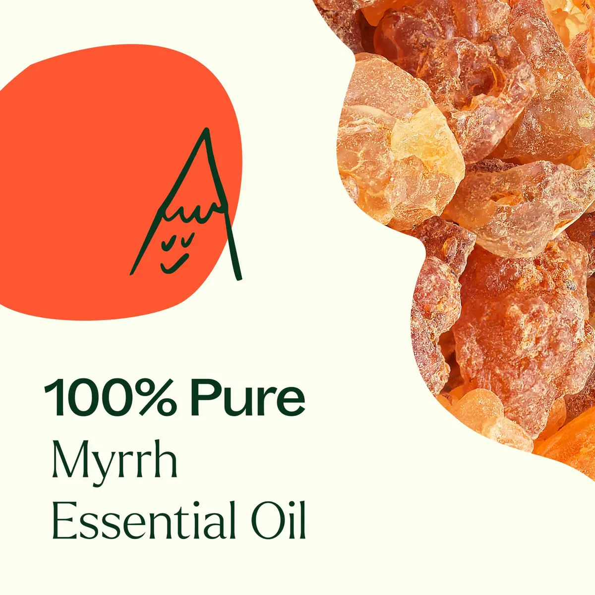Plant Therapy Myrrh Essential Oil 5 mL (0.17 Fl Oz) | Pure, Undiluted, USDA Organic - view 5