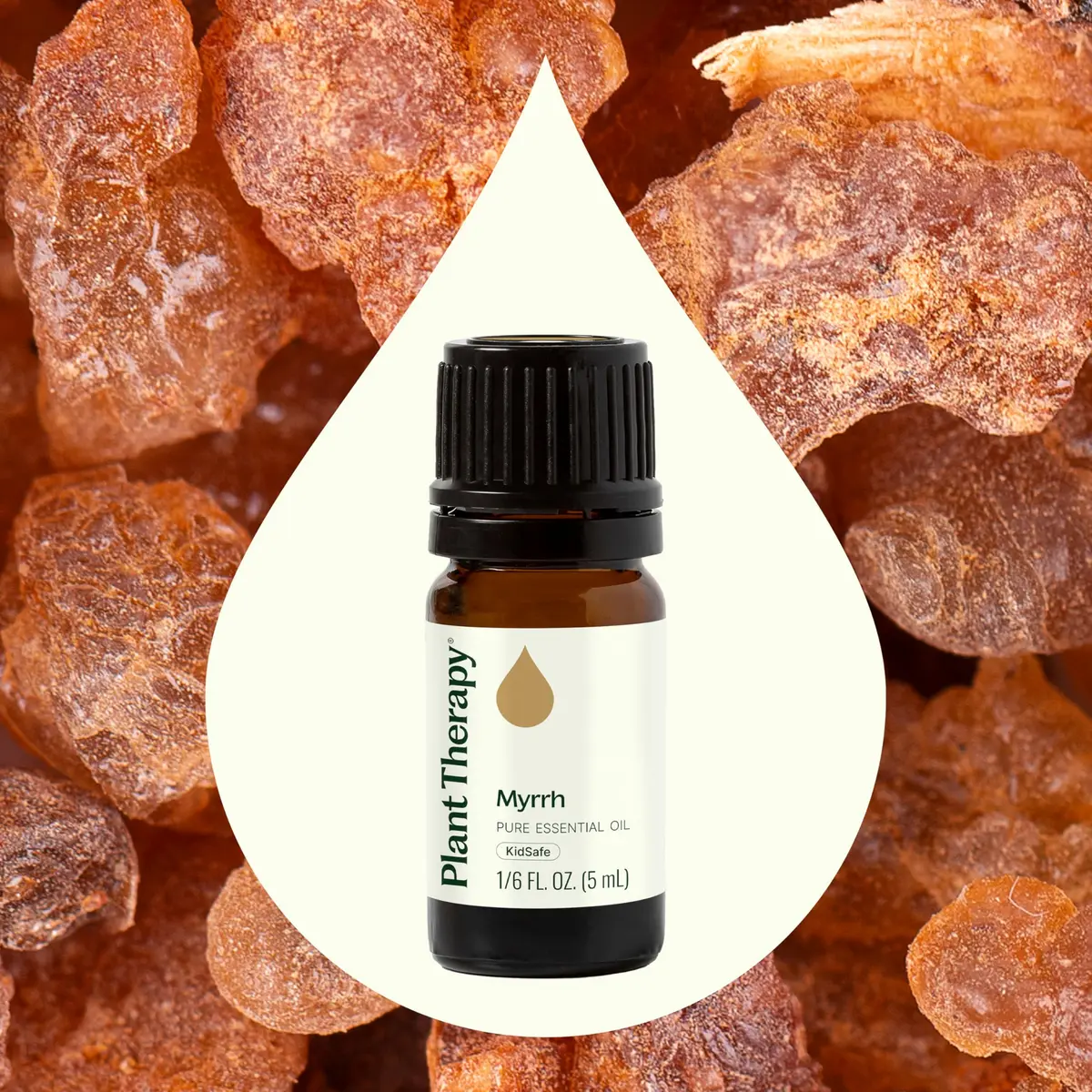 Plant Therapy Myrrh Essential Oil 5 mL (0.17 Fl Oz) | Pure, Undiluted, USDA Organic - view 3