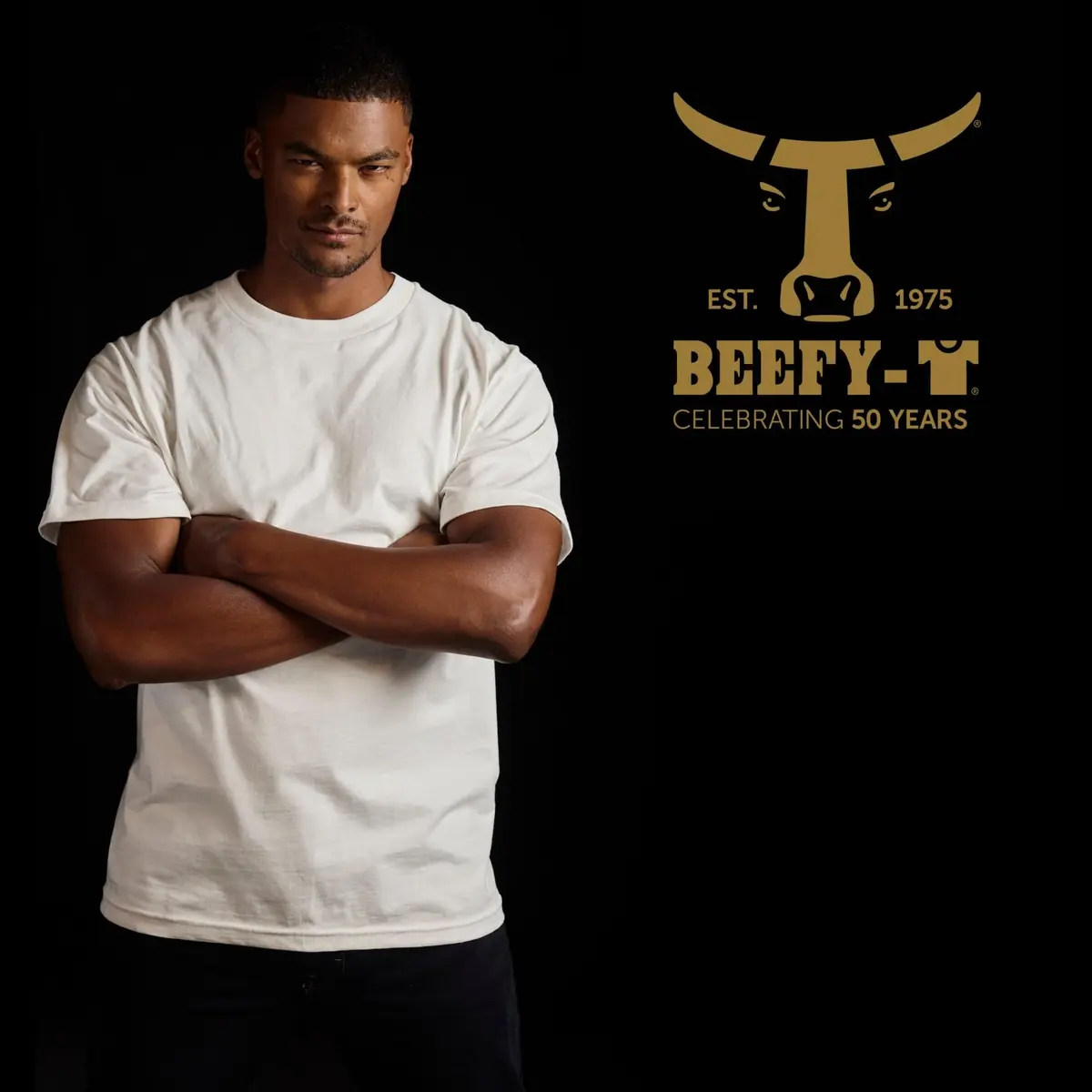 Hanes Heavyweight Cotton Crewneck T-shirt 2 Pack | Tall Sizes Available - view 3
