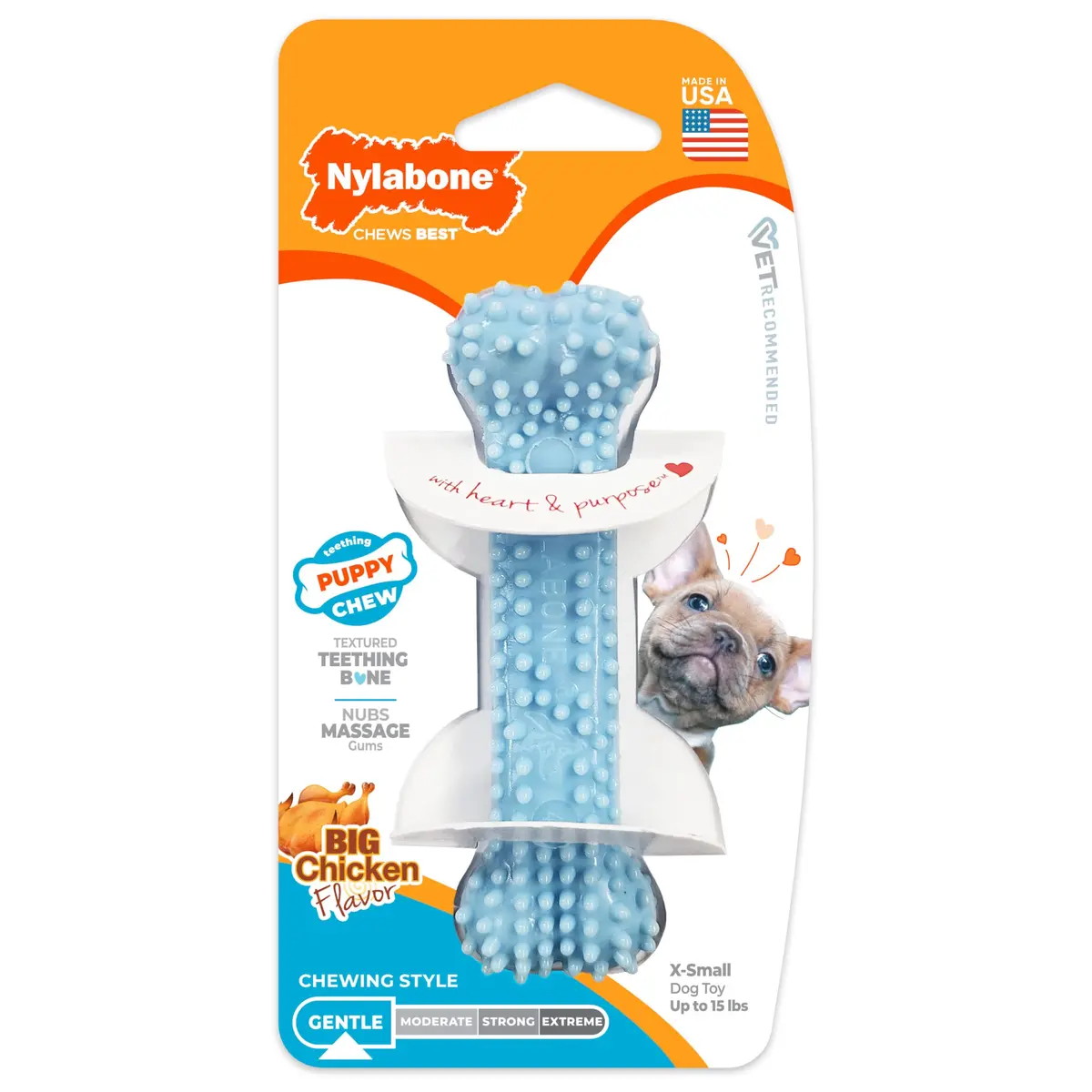 Nylabone Puppy Chew Blue Textured Teething Dog Bone X-Small | Soothes Gums & Cleans Teeth - main product image