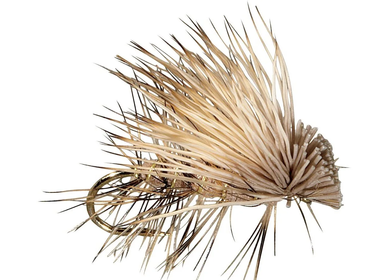Flies
