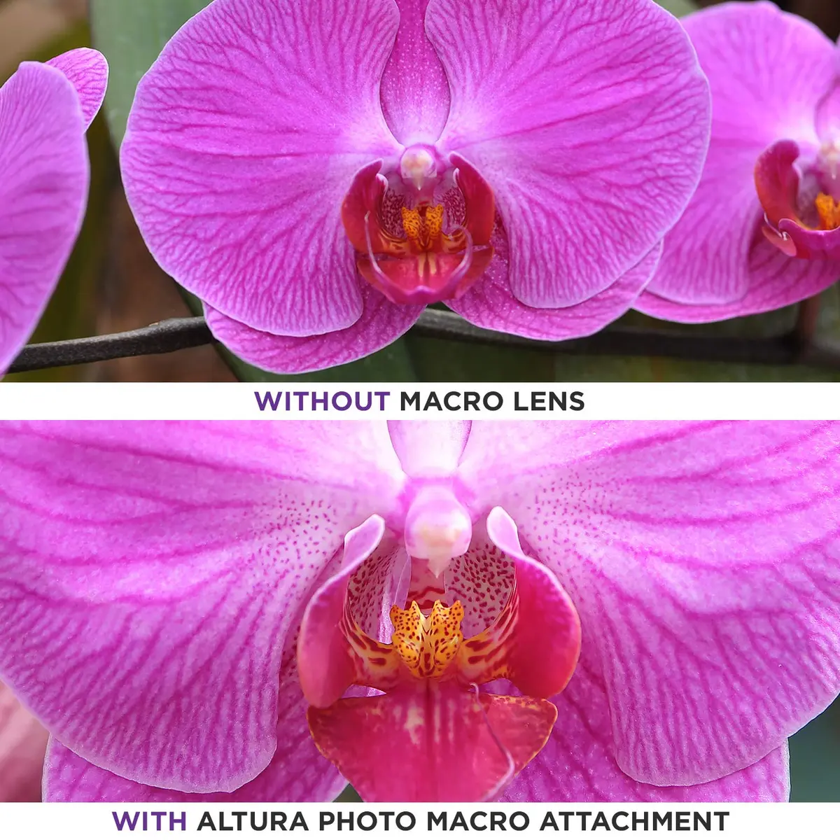 Altura Photo 52mm Wide Angle Lens with Macro for Nikon DSLR Cameras | Expands Field of View - view 7