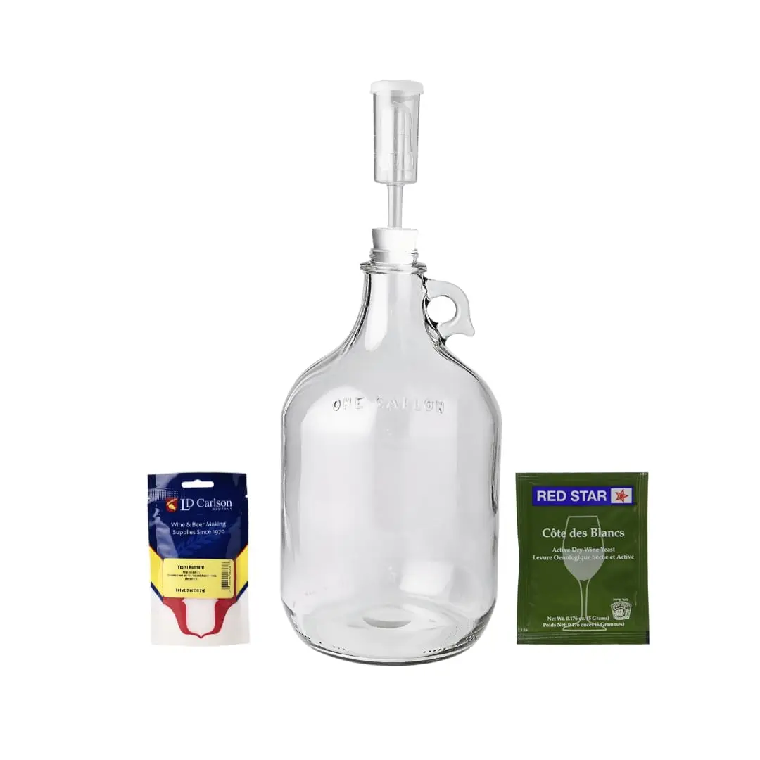 FastRack Mead Making Kit 1 Gallon | Clear Glass Fermentation Jug with Airlocks & Yeast for Home Brewing - main product image