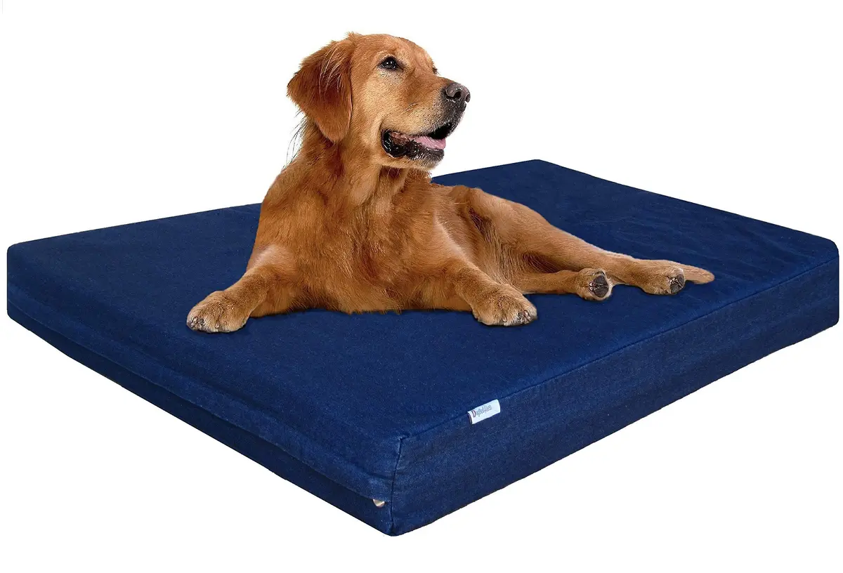 Dogbed4less Extra Large Gel-Infused Memory Foam Dog Bed | Orthopedic Support for XL Breeds - main product image