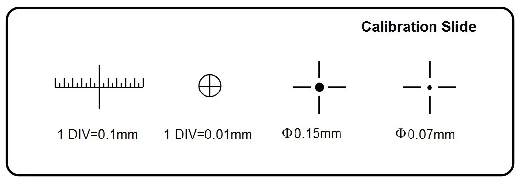 Microscope Sample Slides