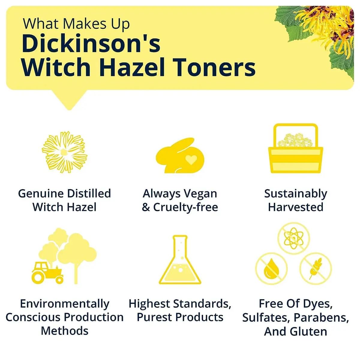Dickinson's Witch Hazel Hydrating Toner with Rosewater | 16 Fl Oz | Alcohol-Free, Hydrates & Refreshes Skin - view 5
