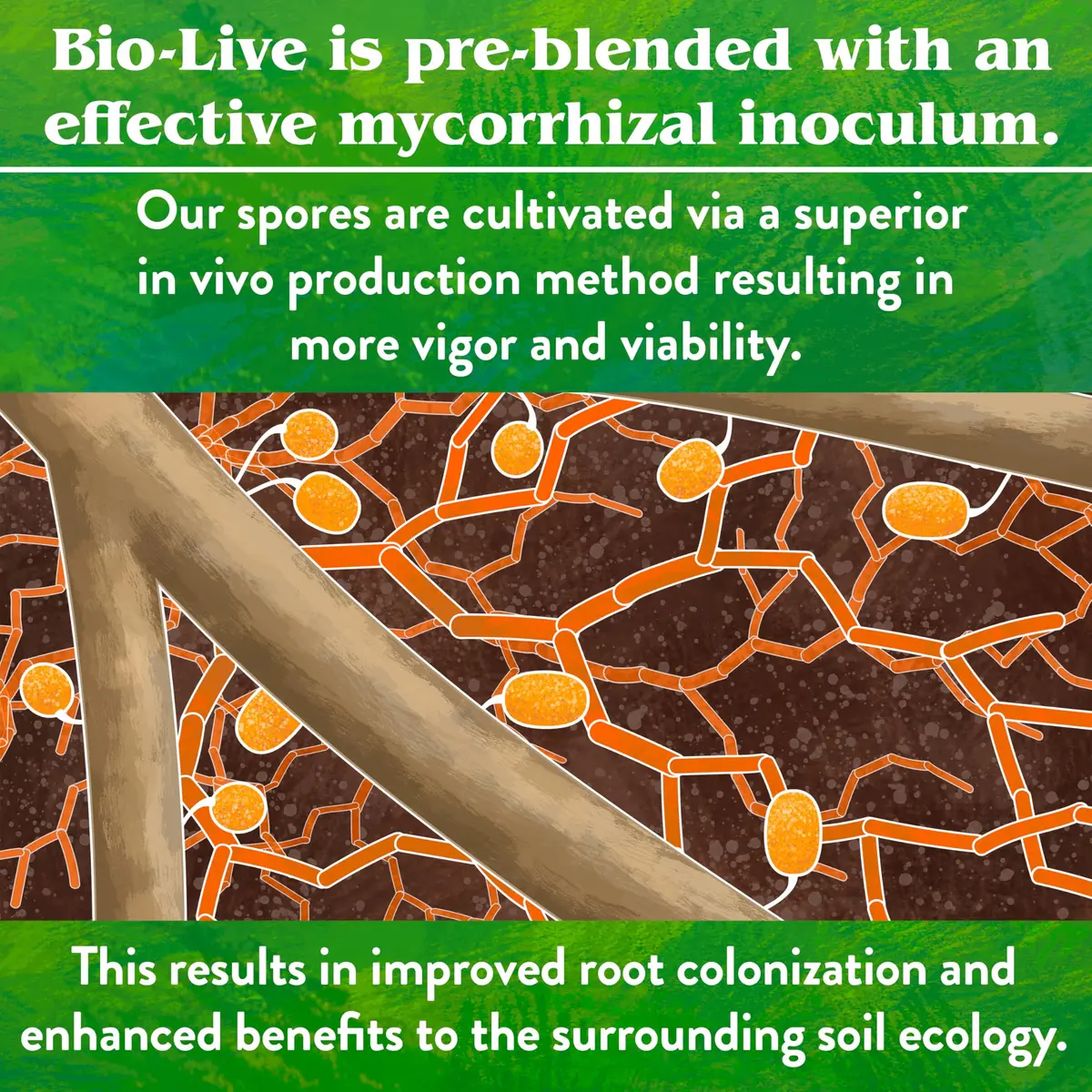 Down To Earth All Natural Fertilizers Organic Bio-Live 25 lb | Organic Bio-Fertilizer with Beneficial Microbes - view 8