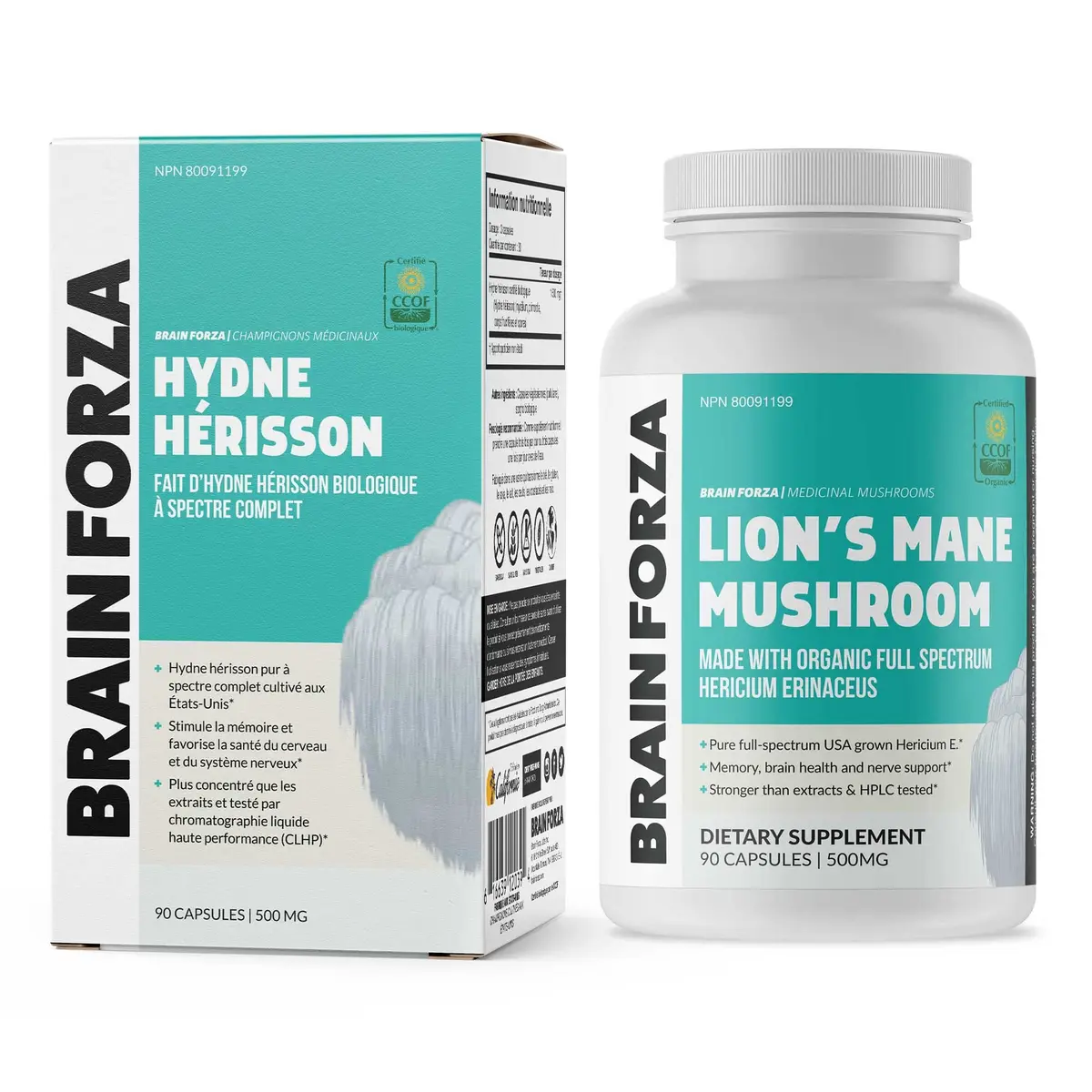 Brain Forza Organic Lion's Mane Mushroom Capsules 90 Count (2.5 x 4.5 x 2.5 inches) | Natural Herbal Supplement for Memory, Focus, Clarity, Nerve Health - view 4