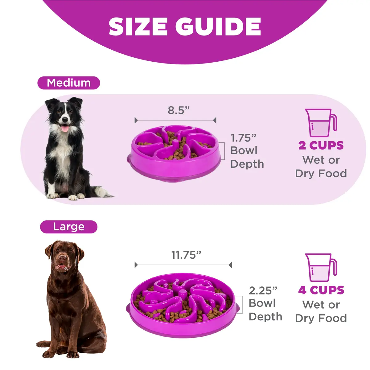 Outward Hound Fun Feeder Slow Bowl Medium 2-Cup Capacity Purple Flower Pattern | Slow Eating Dog Bowl - view 5