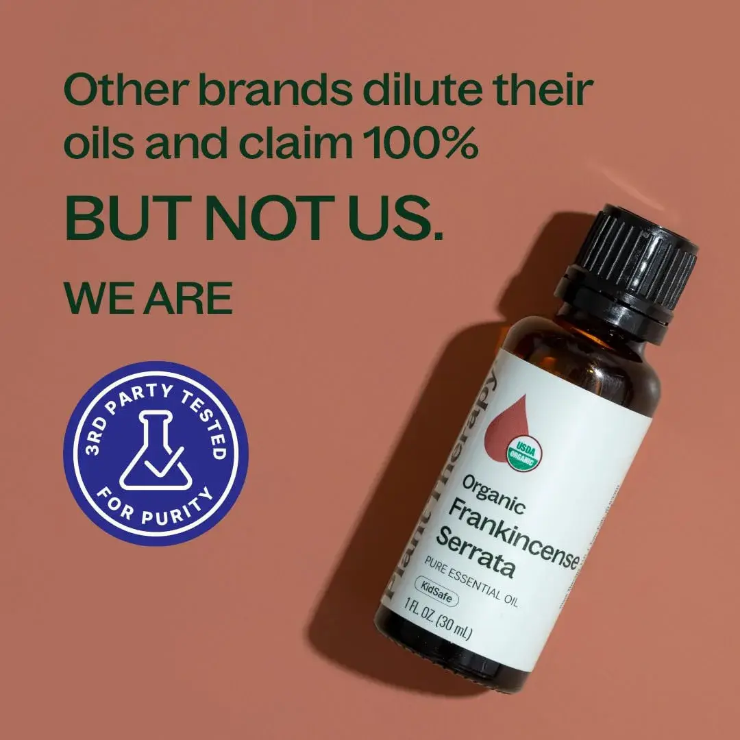 Plant Therapy Organic Frankincense Serrata Essential Oil 30ml (1 Fl Oz) | USDA Certified Pure Aromatherapy - view 5