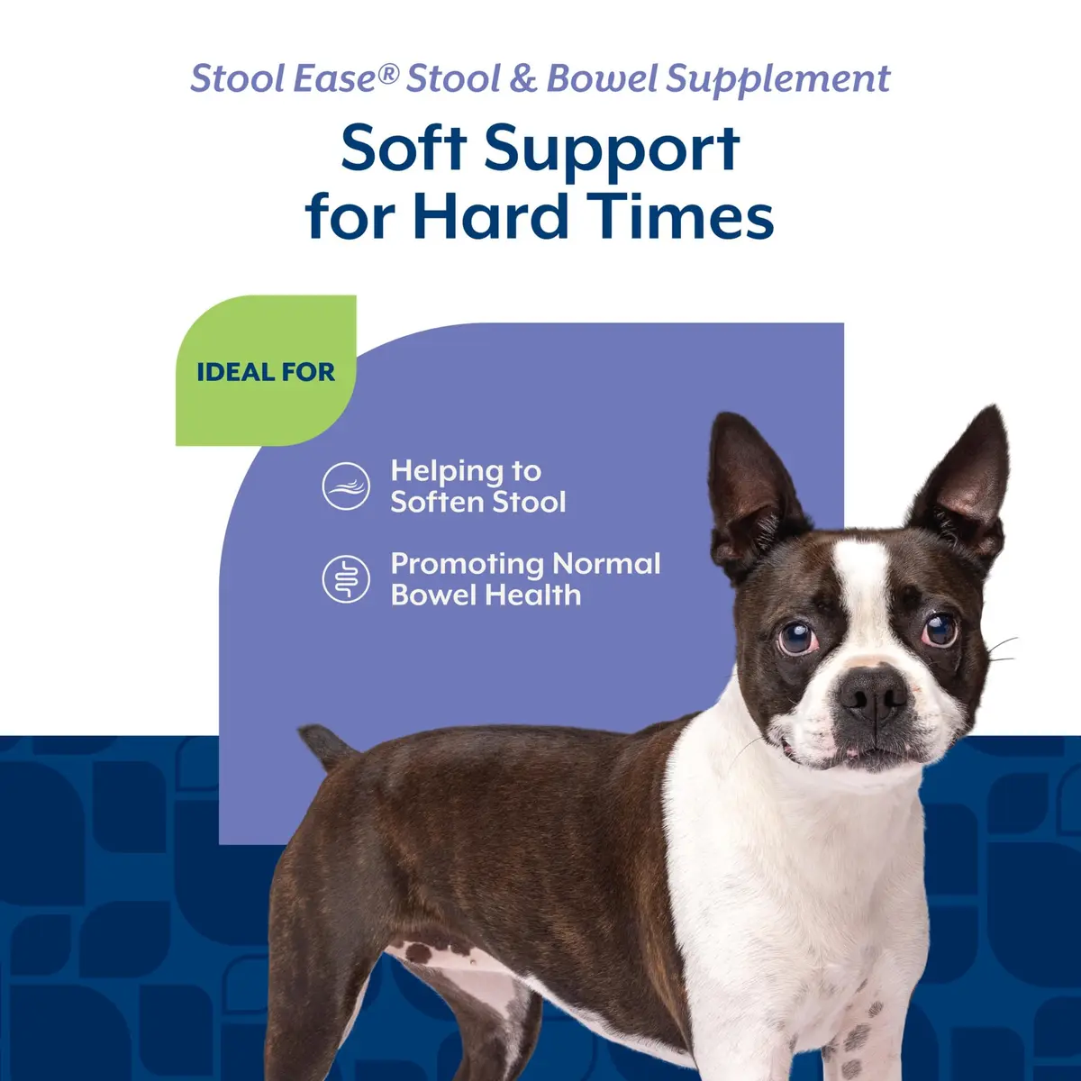 NaturVet Stool Ease Supplement for Dogs – 40 Soft Chews | Supports Normal Bowel Function - view 4
