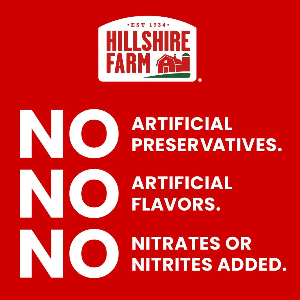 Hillshire Farm Honey Ham 16 oz | Ultra Thin Sliced, Slow Roasted, No Artificial Preservatives - view 3
