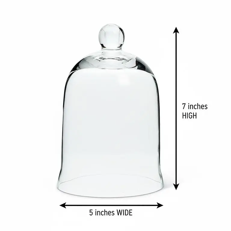 Abbott Collection Small Bell Shaped Glass Cloche 7" | Elegant Display for Home & Gifts - view 2