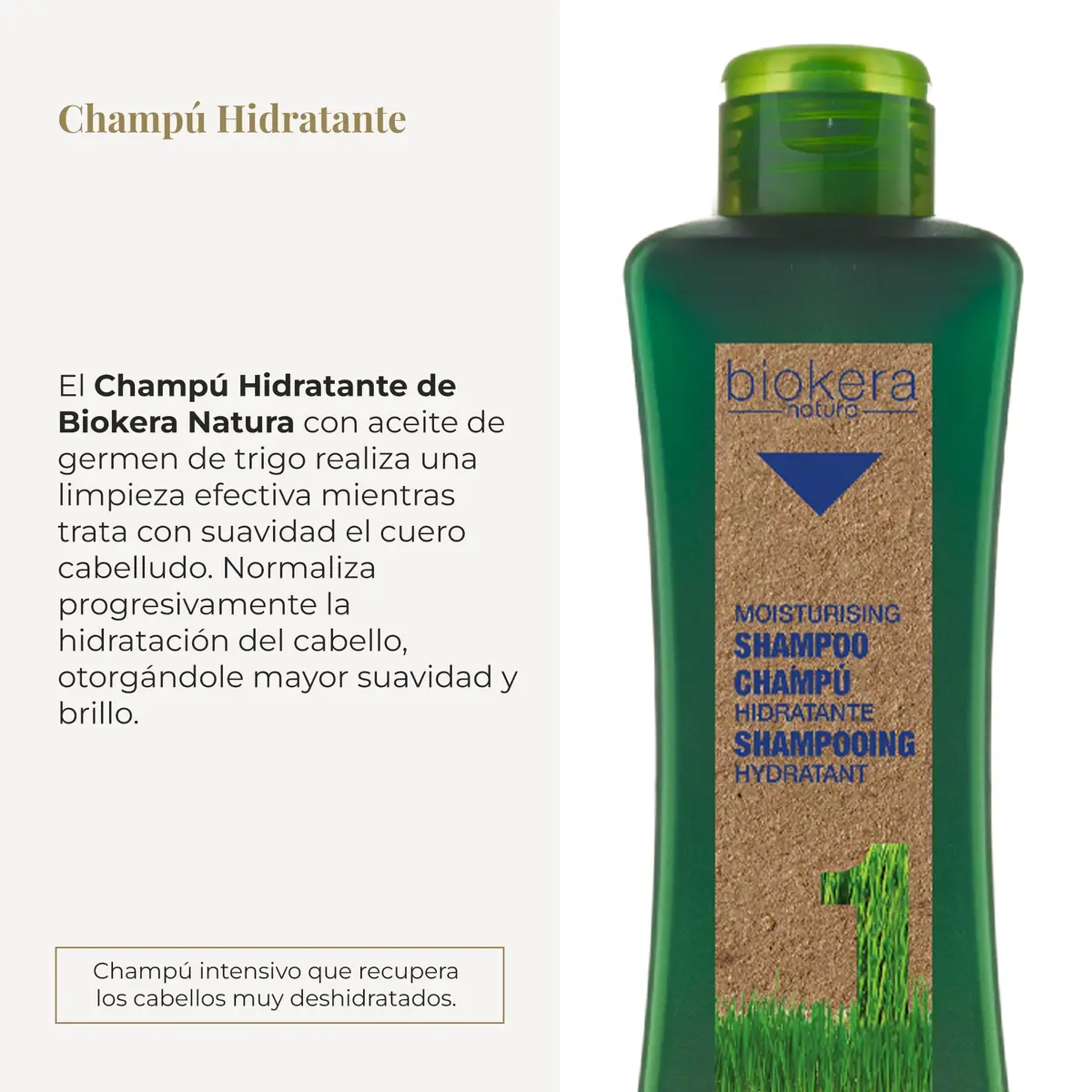 Salerm Biokera Natura Moisturizing Shampoo for Unisex, 10.8 Oz | Hydrates & Nourishes Dry Hair - view 2