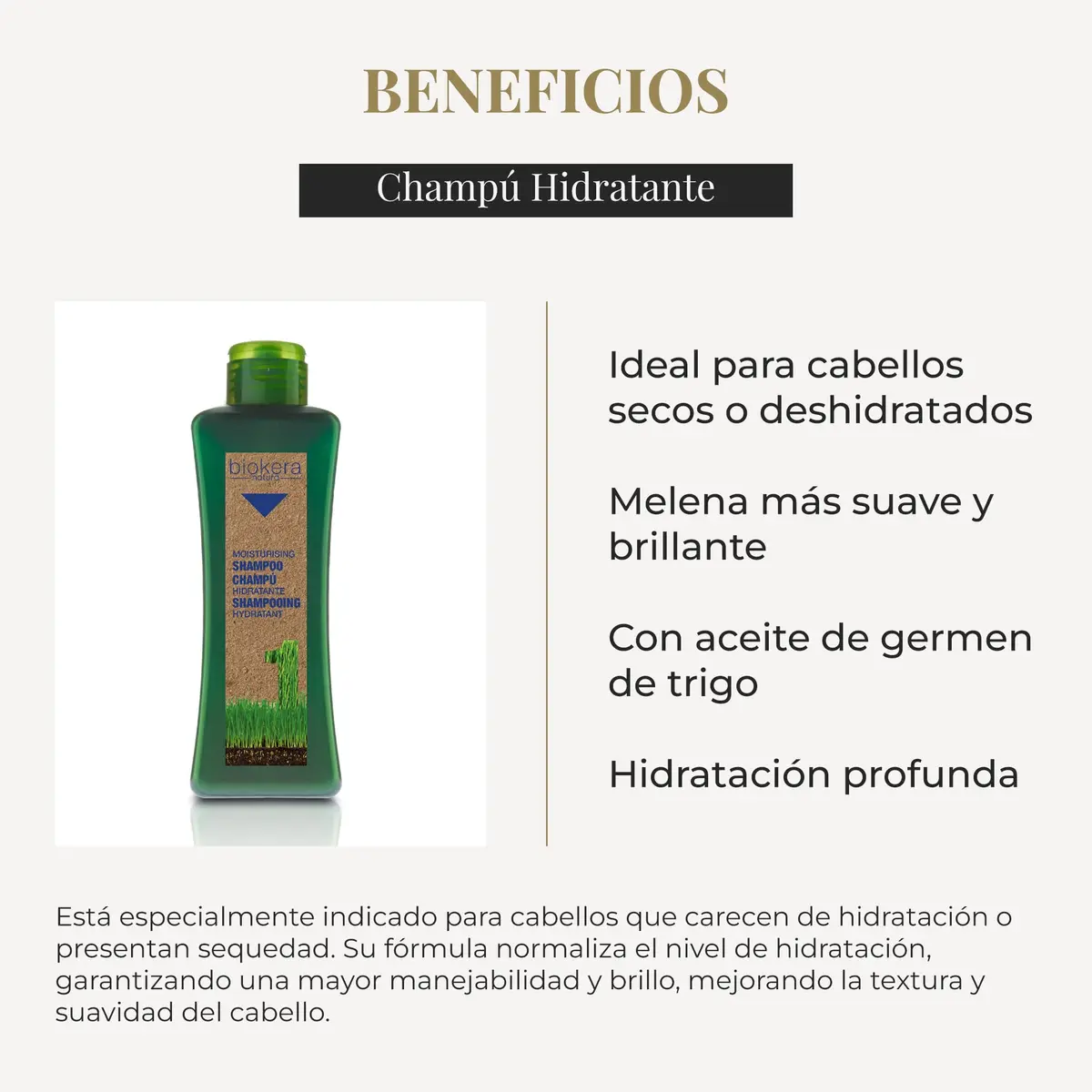 Salerm Biokera Natura Moisturizing Shampoo for Unisex, 10.8 Oz | Hydrates & Nourishes Dry Hair - view 3