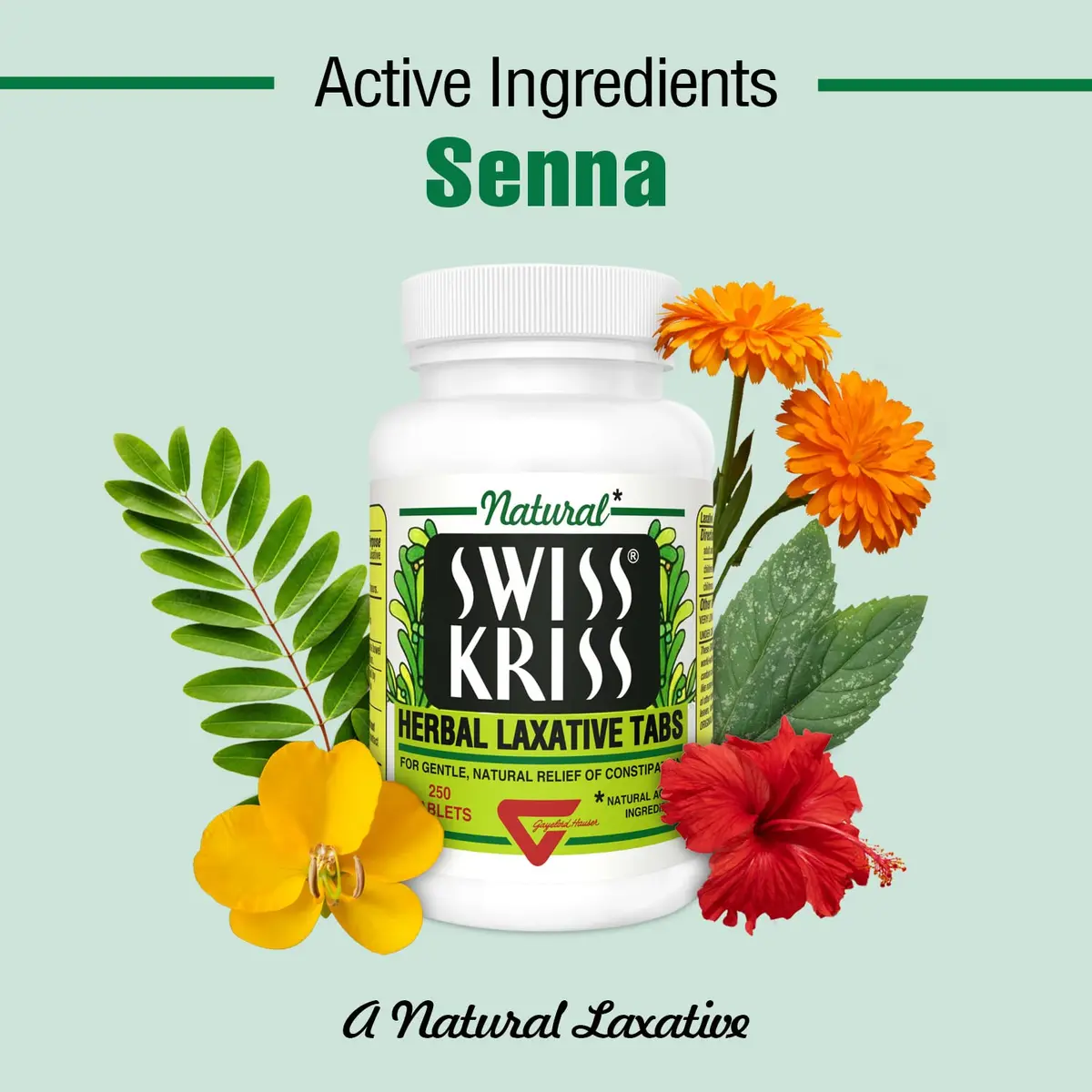 Swiss Kriss Herbal Laxative Tablets 250 Count (Pack of 2) | Gentle Constipation Relief in 6-12 Hours - view 6