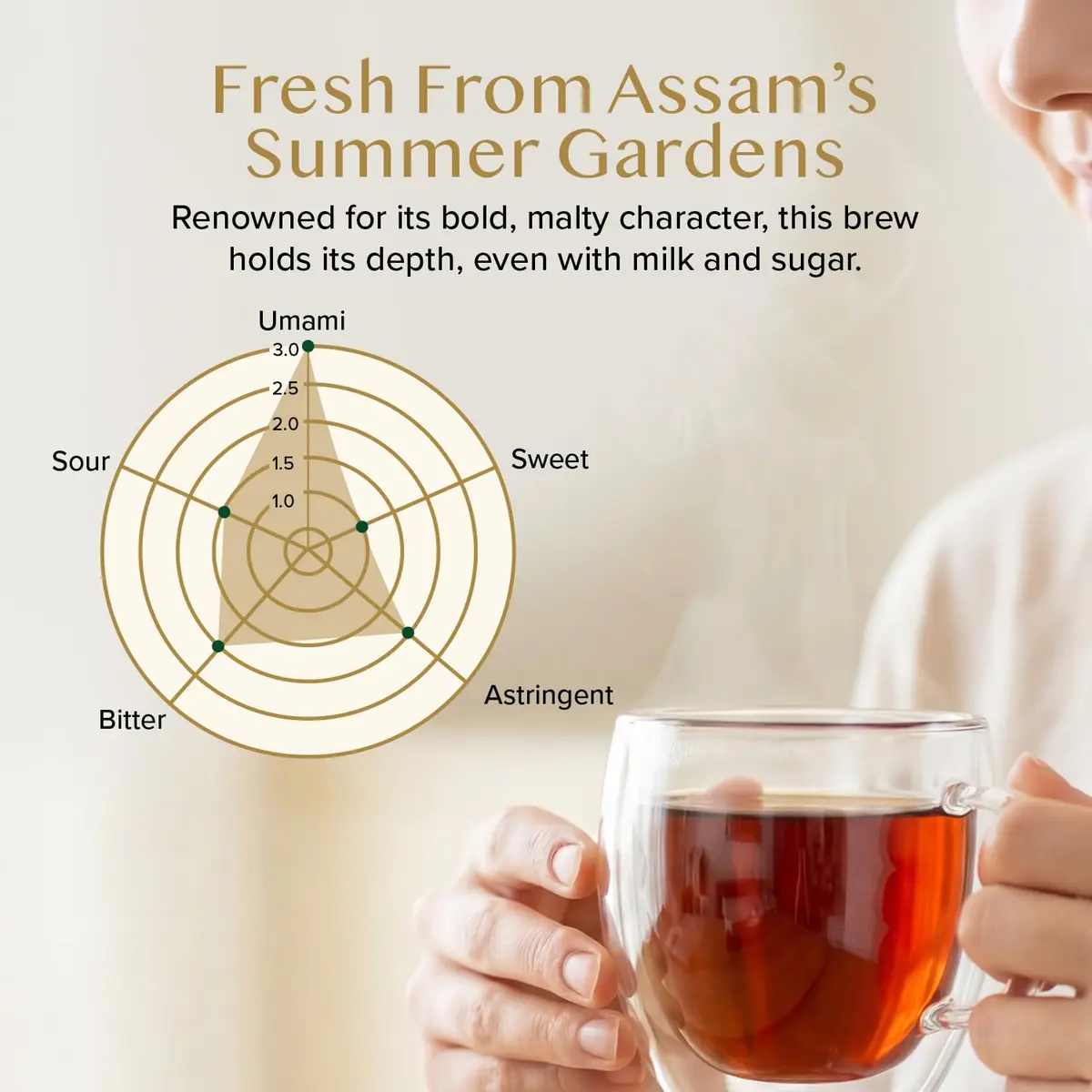 VAHDAM Assam CTC Black Tea Loose Leaf 12oz | Premium Indian Tea with Rich Flavor and High Caffeine - view 4