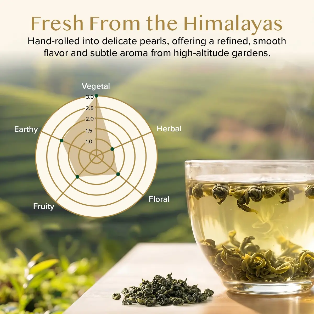 VAHDAM Himalayan Pearls Green Tea Loose Leaf 3.53oz | Premium Indian Green Tea, High Caffeine, Single Origin - view 3