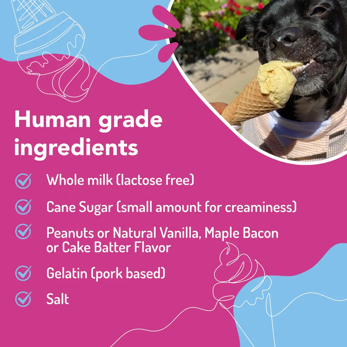 Puppy Scoops Dog Ice Cream Mix (Peanut Butter), 4.65 oz | Natural, Scoopable Treat for Dogs - view 2