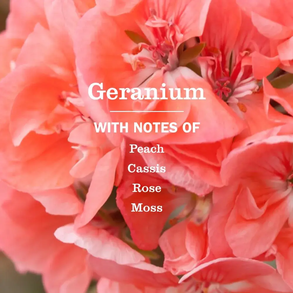 Mrs. Meyer's Clean Day Geranium Scent Hand Soap 375ml (12.5 Fl Oz) | Moisturizing Liquid Hand Soap for Soft Hands - view 2