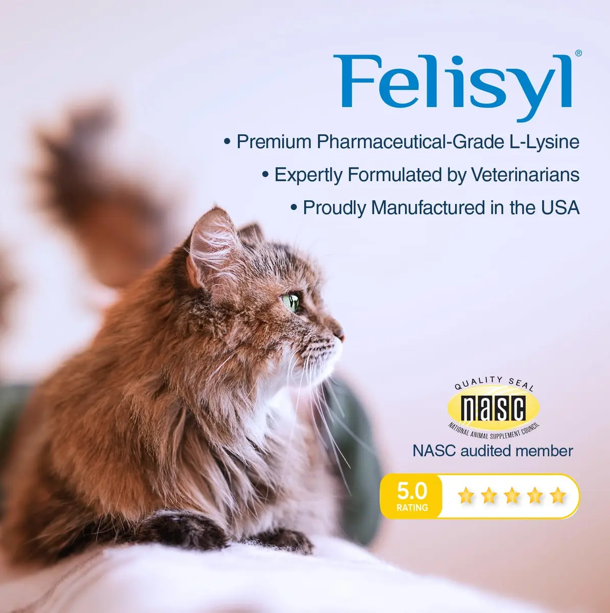 Felisyl L-Lysine Gel for Cats & Kittens 5oz | Immune & Respiratory Support - view 4