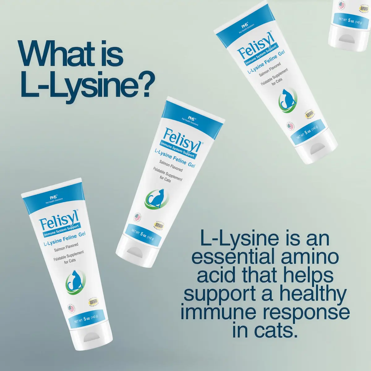 Felisyl L-Lysine Gel for Cats & Kittens 5oz | Immune & Respiratory Support - view 3