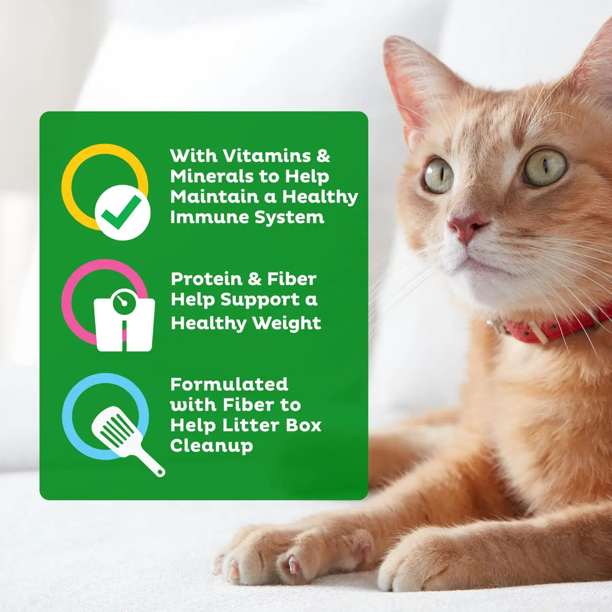 9Lives Indoor Essentials Dry Cat Food with Chicken & Salmon | Supports Indoor Cat Wellness & Easy Cleanup - view 5