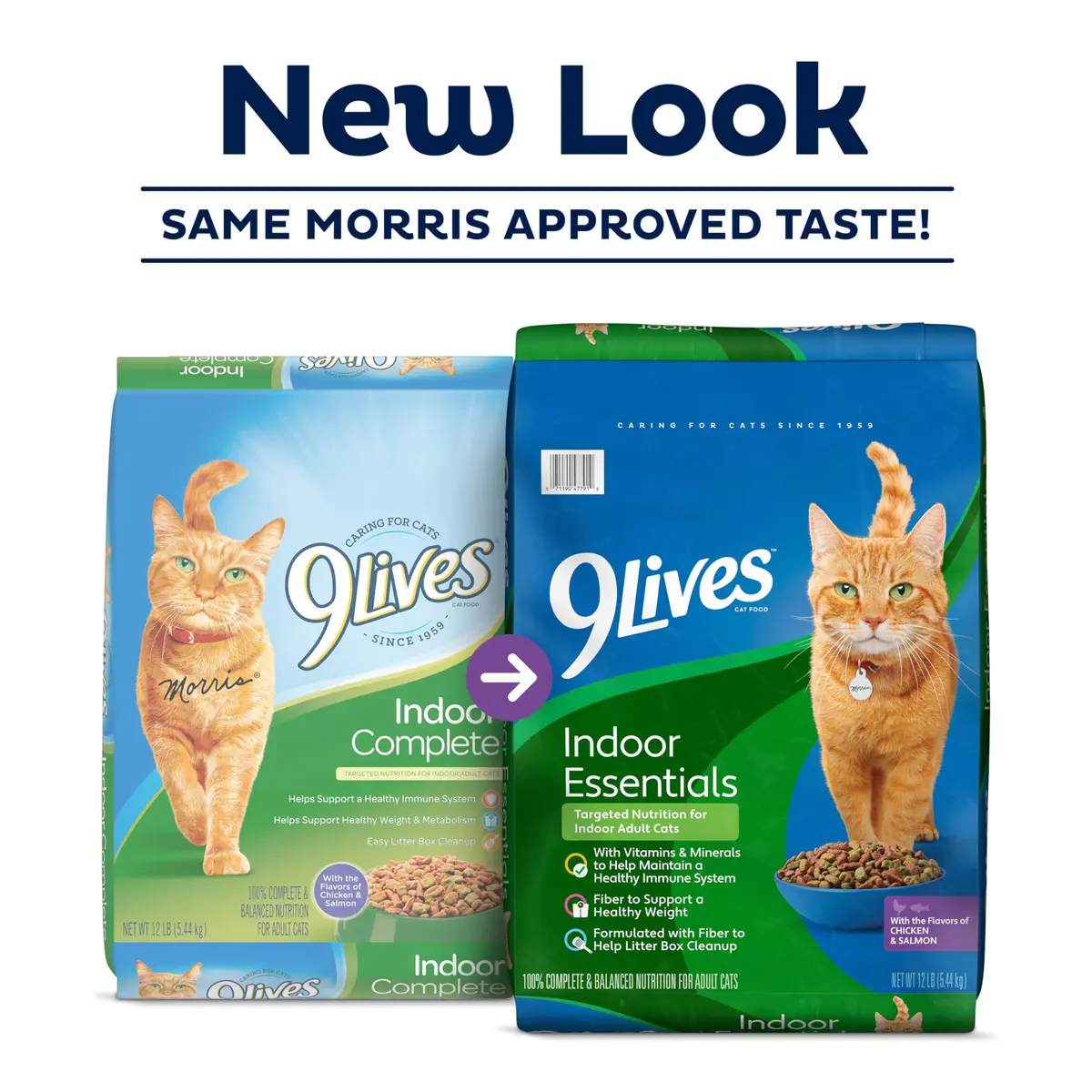 9Lives Indoor Essentials Dry Cat Food with Chicken & Salmon | Supports Indoor Cat Wellness & Easy Cleanup - view 2