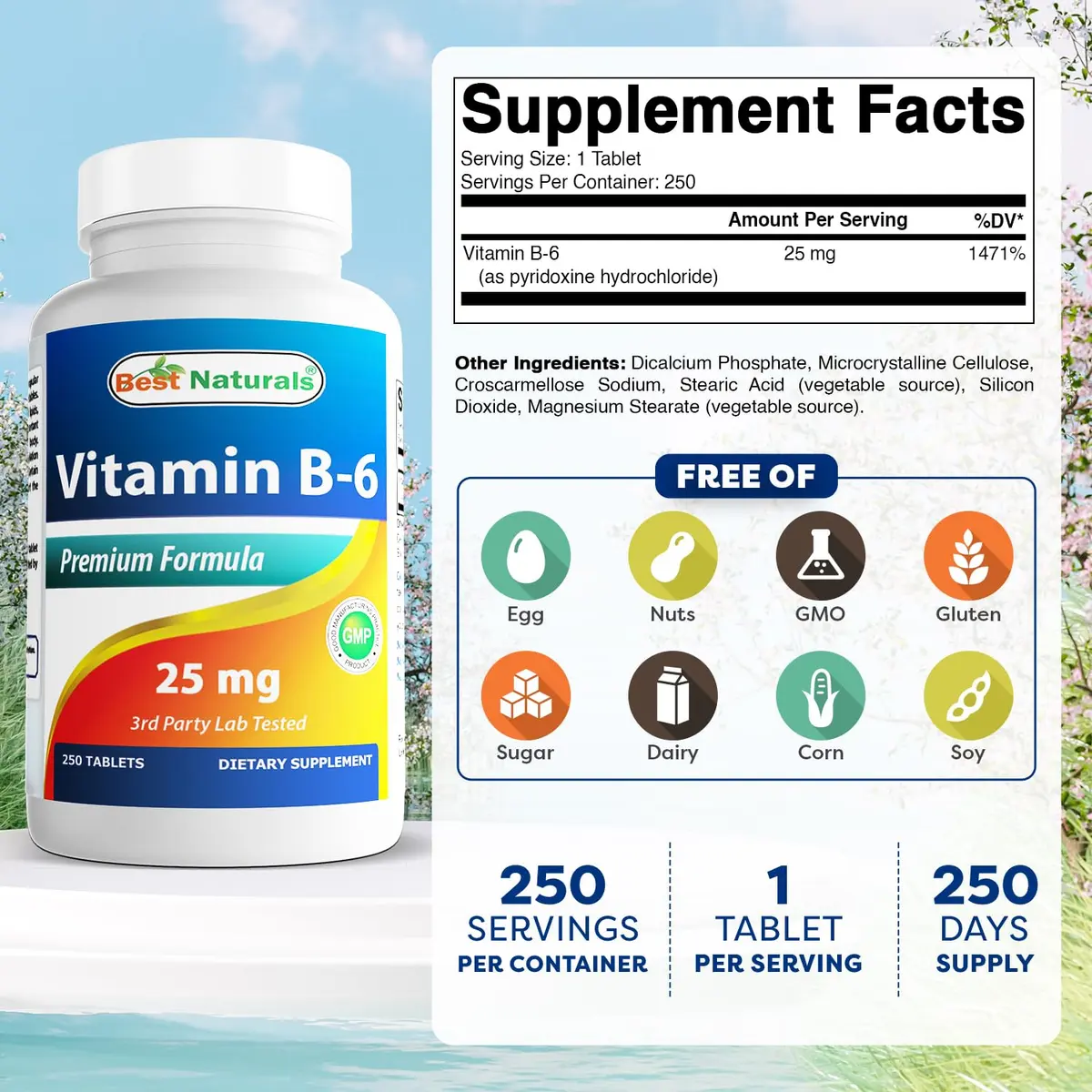 Best Naturals Vitamin B-6 25 Mg Tablets, 250 Count | Purity & Quality Tested - view 2