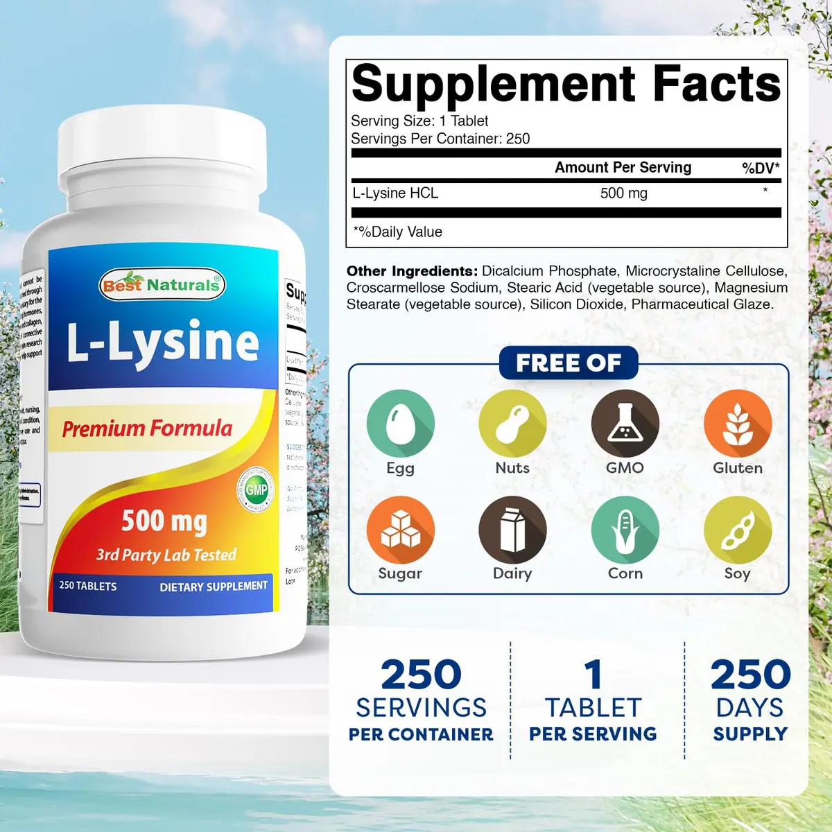 Best Naturals L-Lysine 500 mg 250 Tablets | Supports Immune & Skin Health - view 2