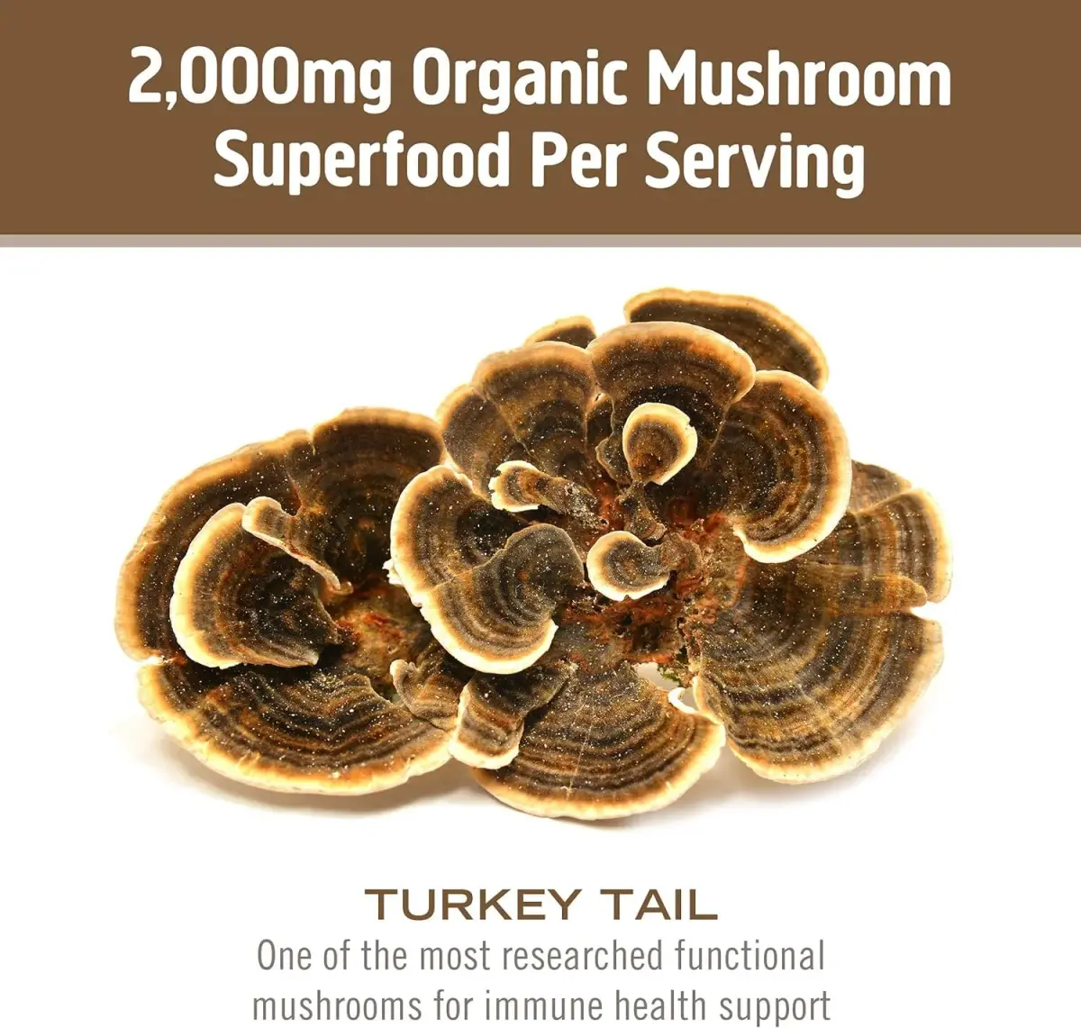 OM Mushroom Superfood Turkey Tail Organic Mushroom Powder 3.5 oz (99g) | Immune Support with Beta Glucans - view 7