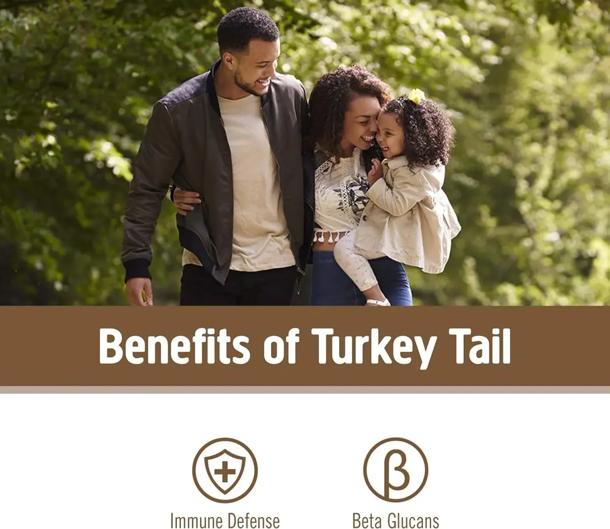 OM Mushroom Superfood Turkey Tail Organic Mushroom Powder 3.5 oz (99g) | Immune Support with Beta Glucans - view 4